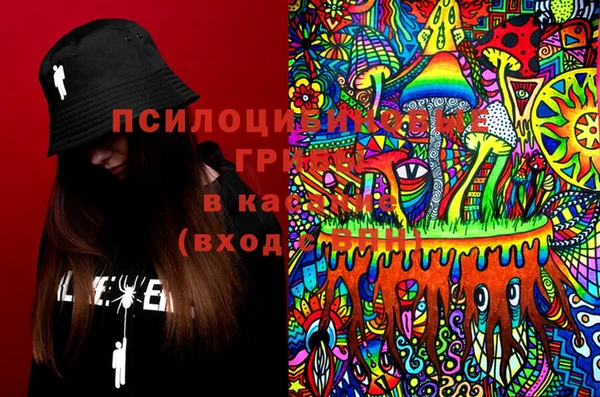 прущие крисы Белокуриха